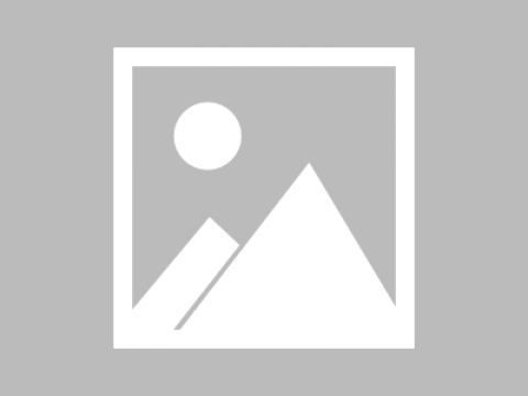 嘿，贺州老乡！那个能“听懂人话”的AI代理，真把咱这小城给“整活”了