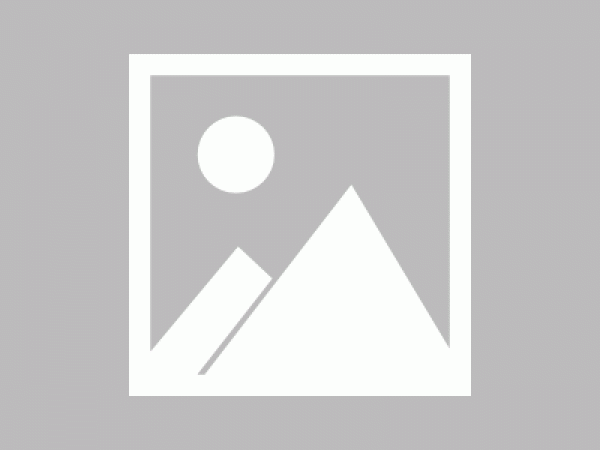 《数字电路方波分频检测实操指南（适配通信测量音频场景，新手入门与专业排查必备）》